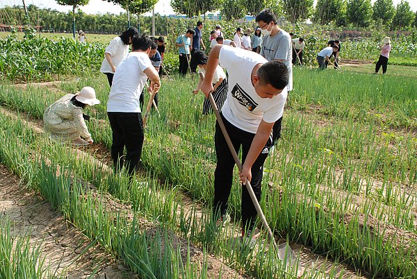 現(xiàn)場采摘 (3).JPG